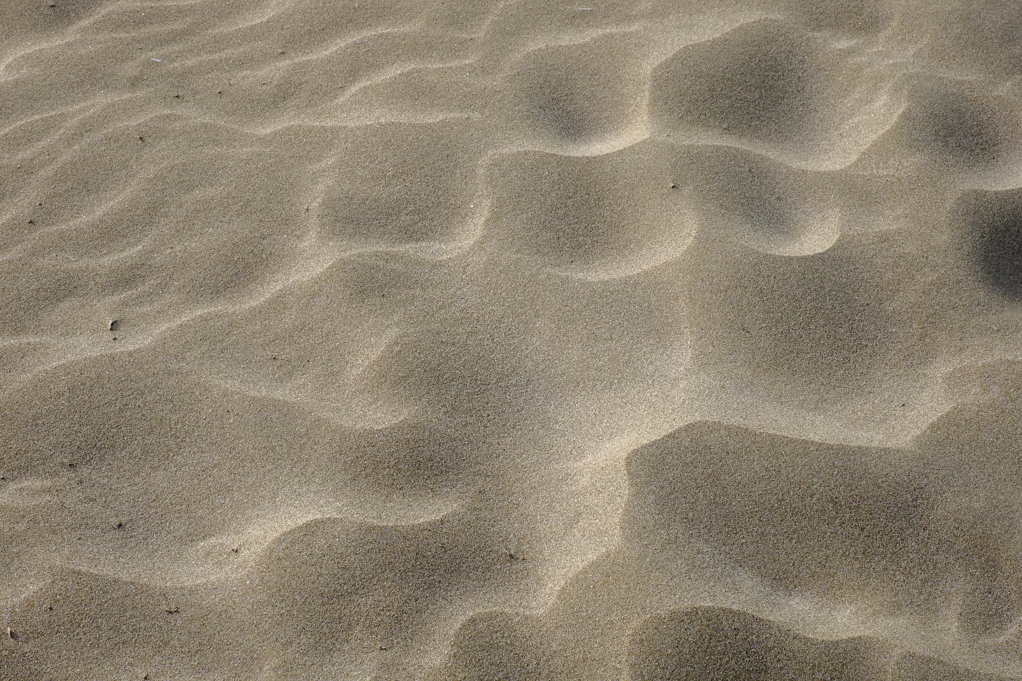 Fujifilm X-Pro1 sample photo. Sand photography