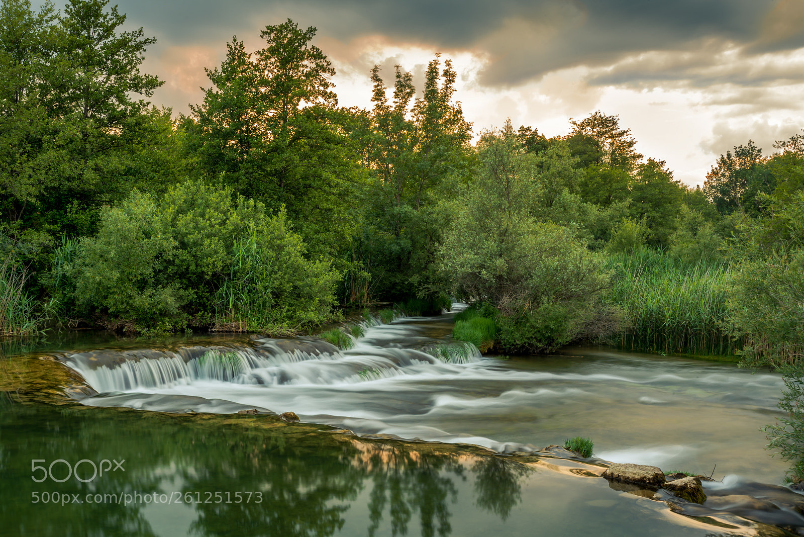 Nikon D750 sample photo. Mrežnica photography