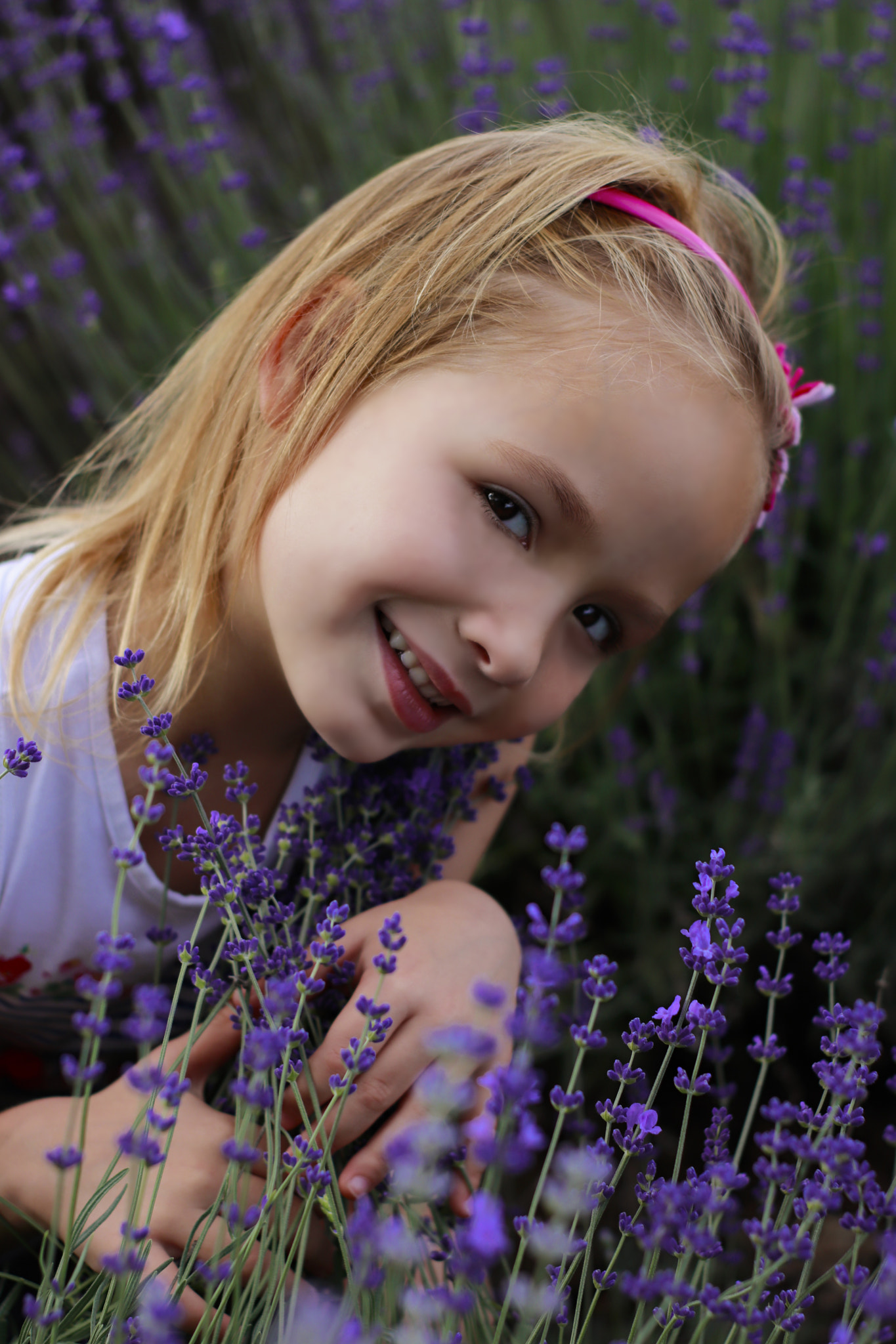 Canon EOS 800D (EOS Rebel T7i / EOS Kiss X9i) sample photo. In a lavender field photography