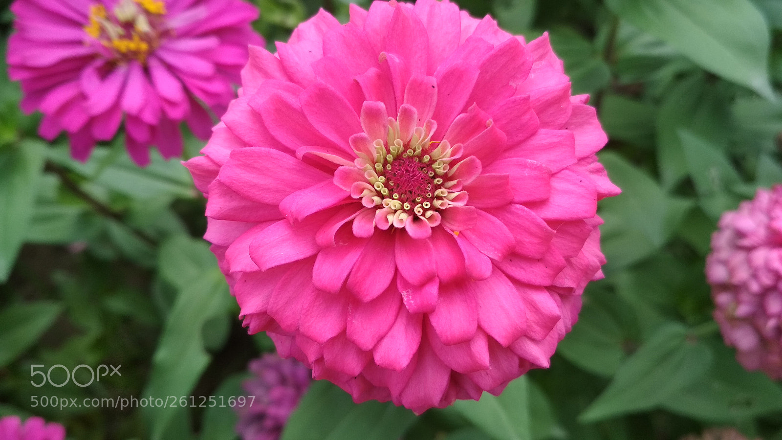 Xiaomi Redmi 4X sample photo. Untitled photography