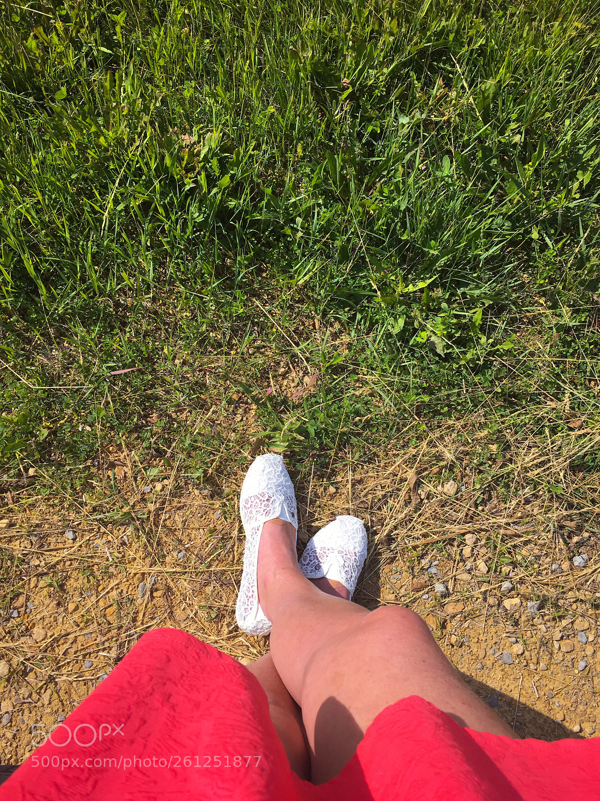 Apple iPhone 6s sample photo. Untitled photography