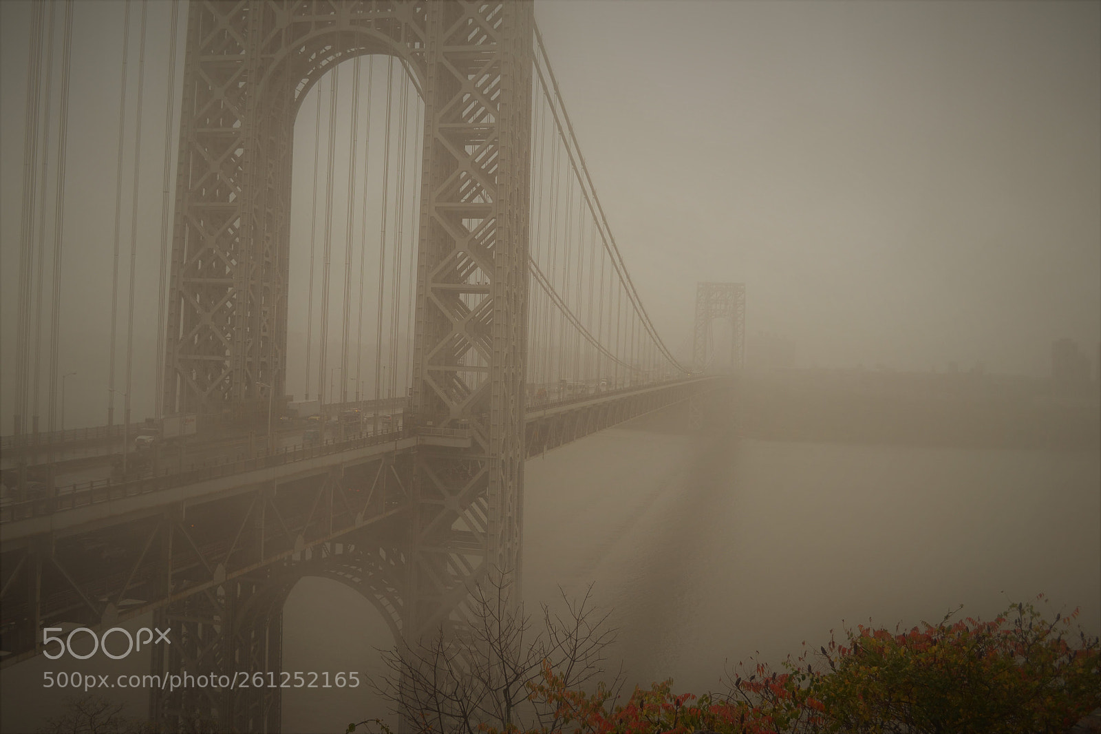 Nikon D3100 sample photo. Bridge photography