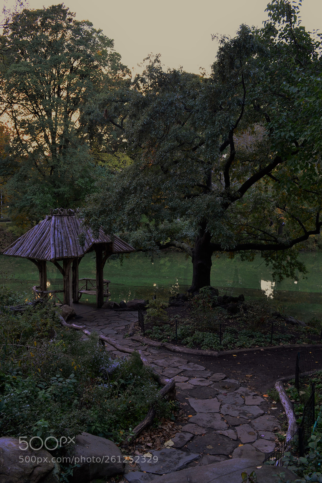Nikon D3100 sample photo. Central park photography