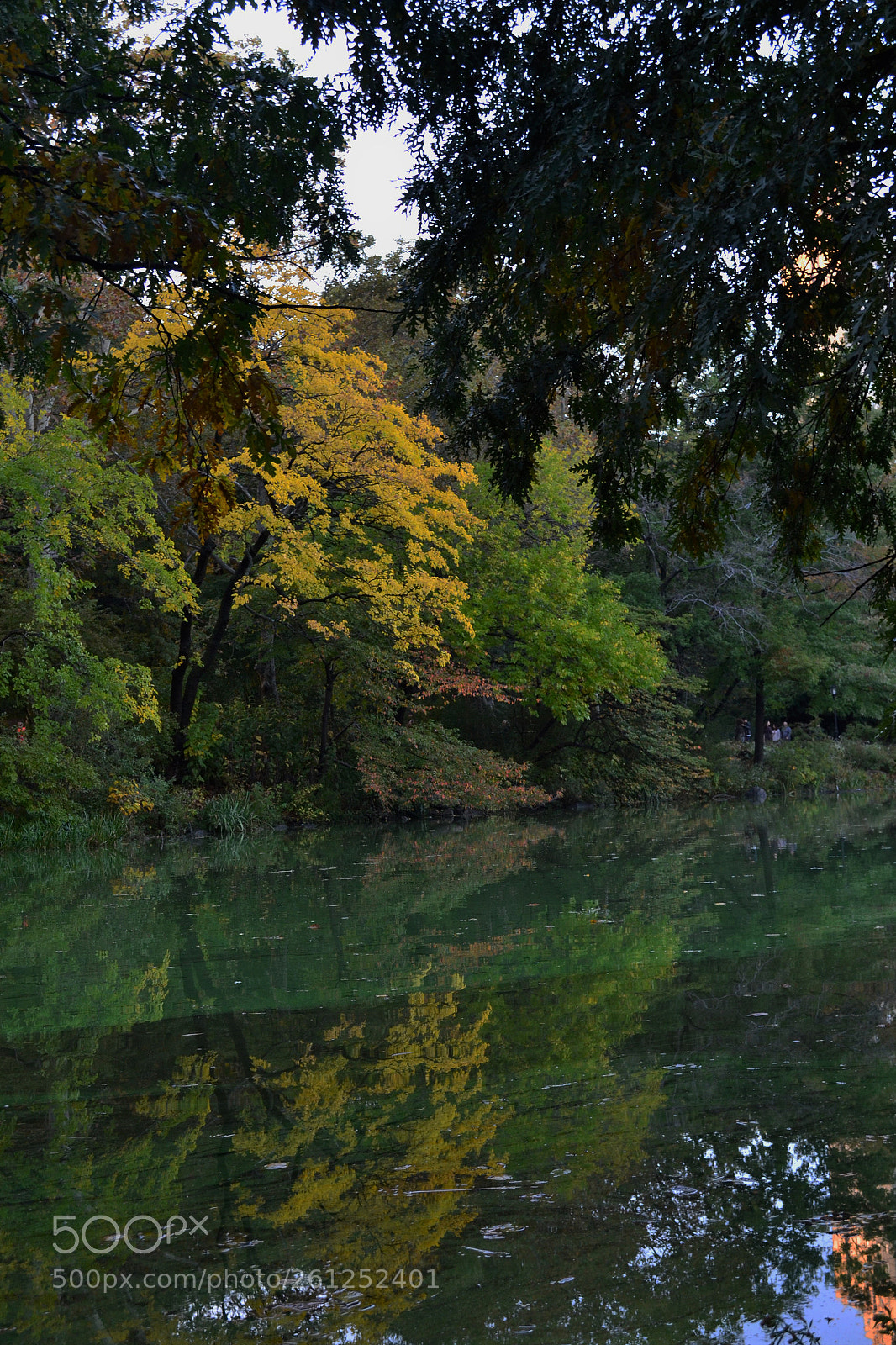 Nikon D3100 sample photo. Like glass photography