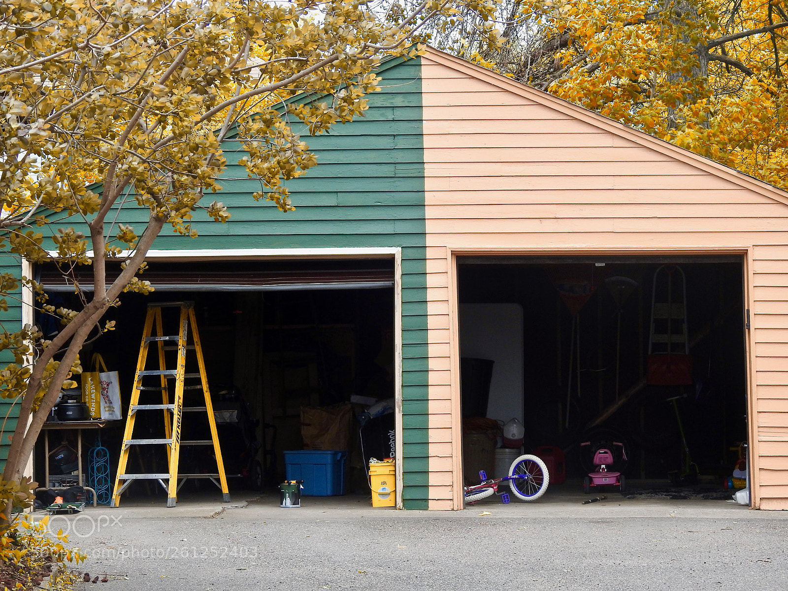 Nikon Coolpix P900 sample photo. Neighbors photography