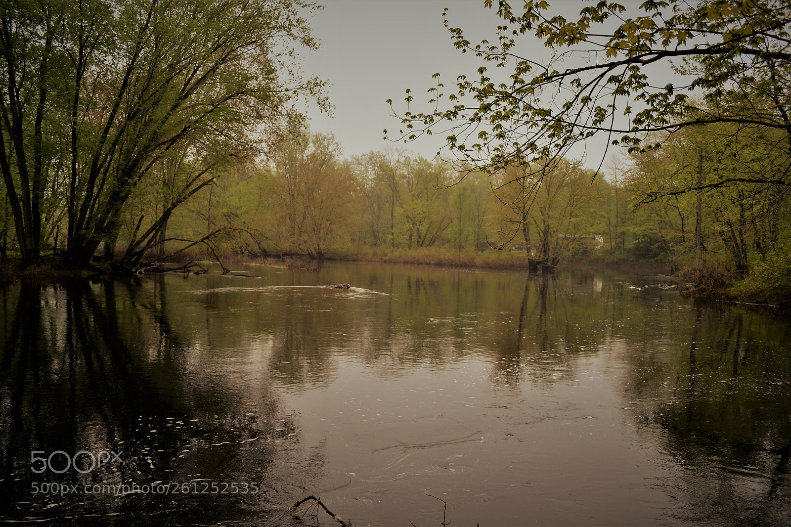 Nikon D3100 sample photo. Crowe river photography