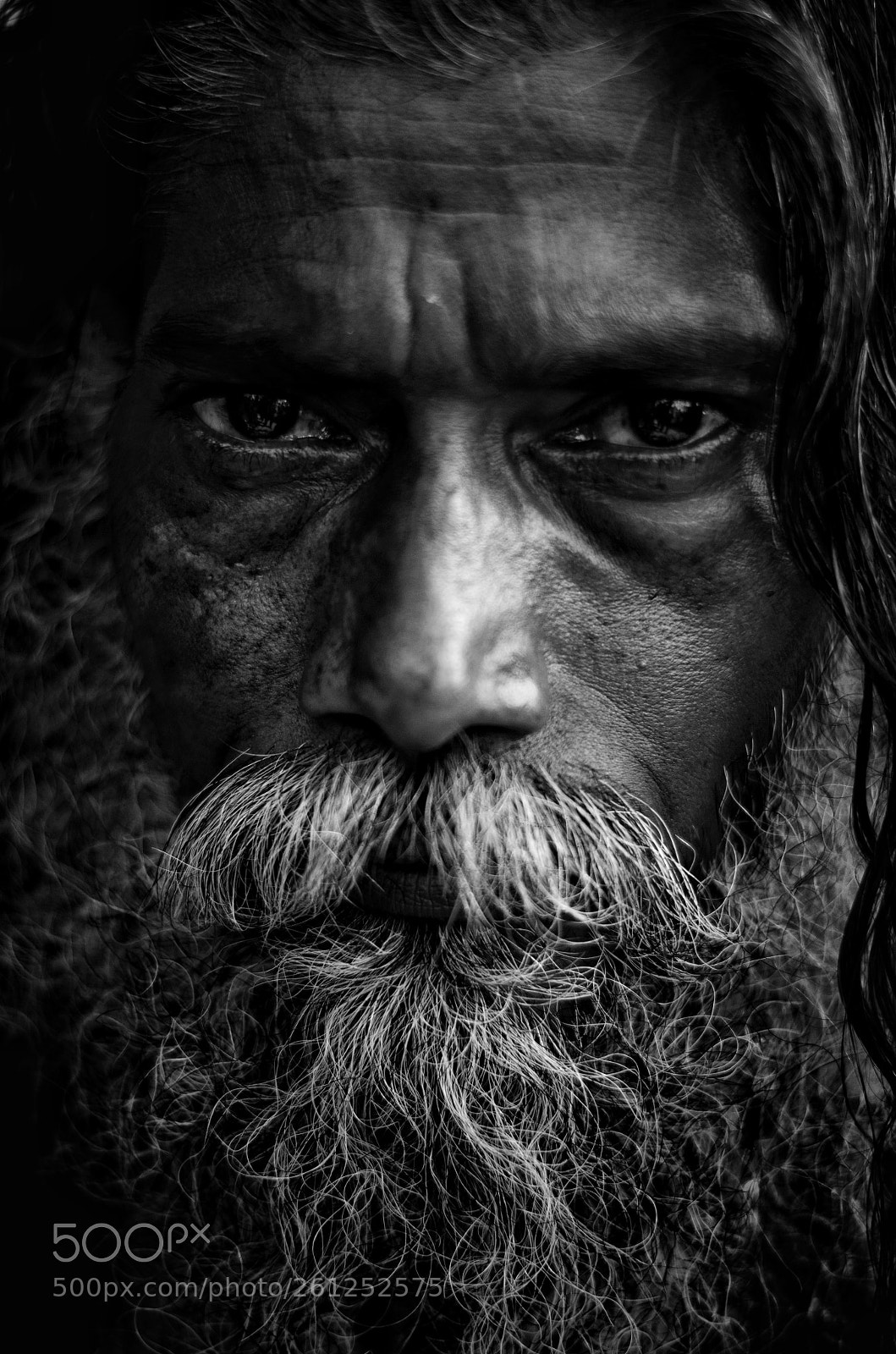 Nikon D7000 sample photo. Cruel eye photography