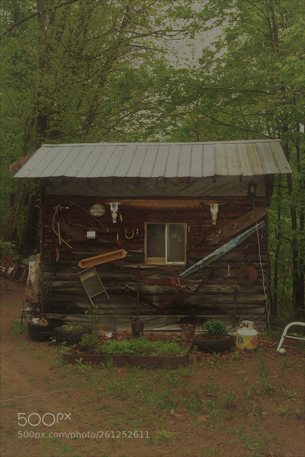 Nikon D3100 sample photo. Cabin in the woods photography