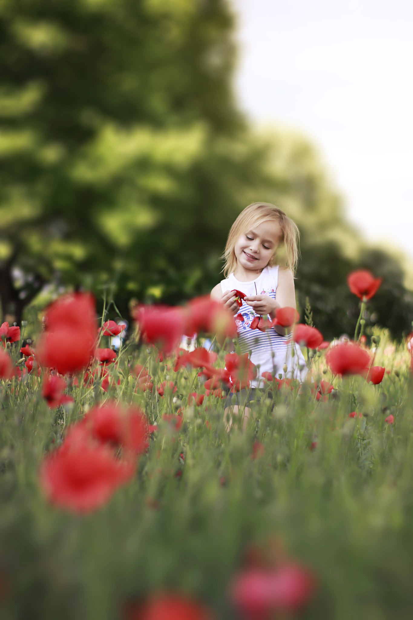 Canon EOS 800D (EOS Rebel T7i / EOS Kiss X9i) sample photo. Poppies photography