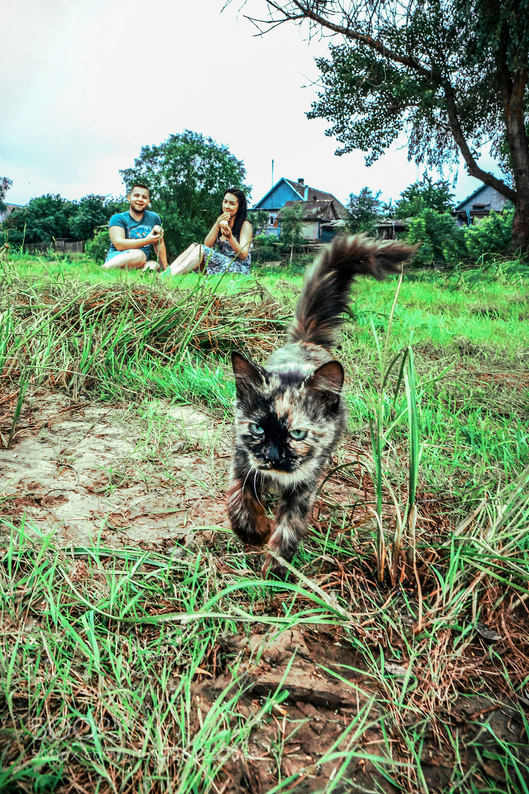 Nikon D7100 sample photo. Love-story photography