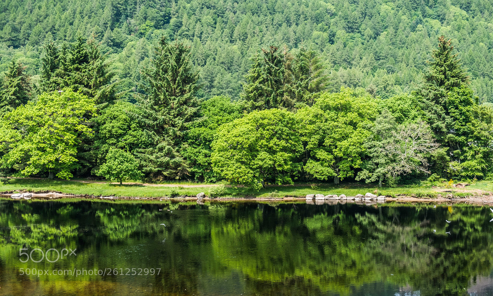 Fujifilm X-Pro2 sample photo. Loch tay, scotland photography