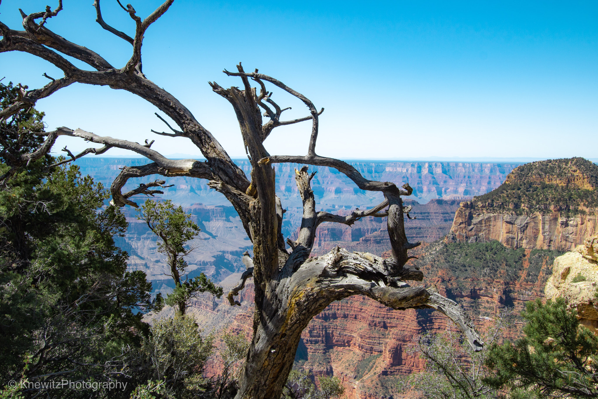 Canon EOS 760D (EOS Rebel T6s / EOS 8000D) sample photo. North rim photography