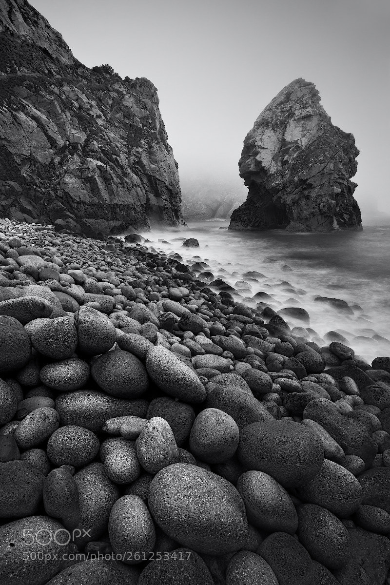 Canon EOS 5D Mark II sample photo. Egg shore photography