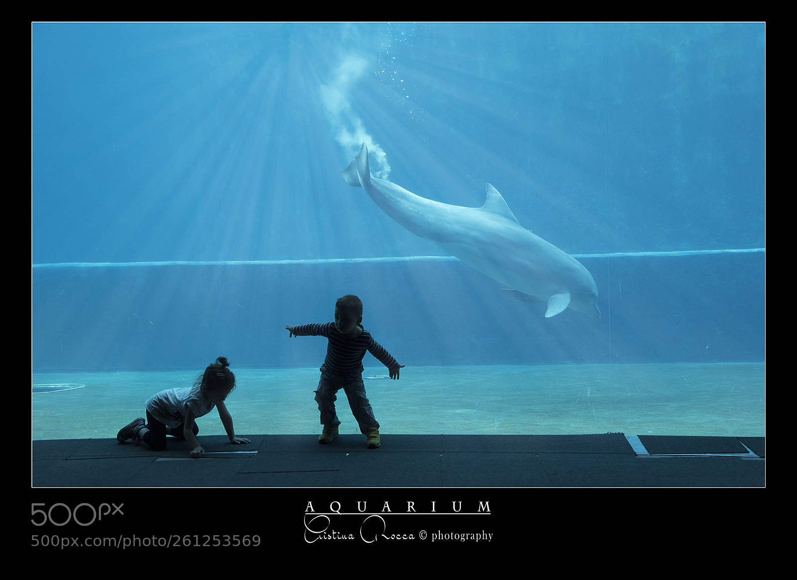 Nikon D750 sample photo. Aquarium photography