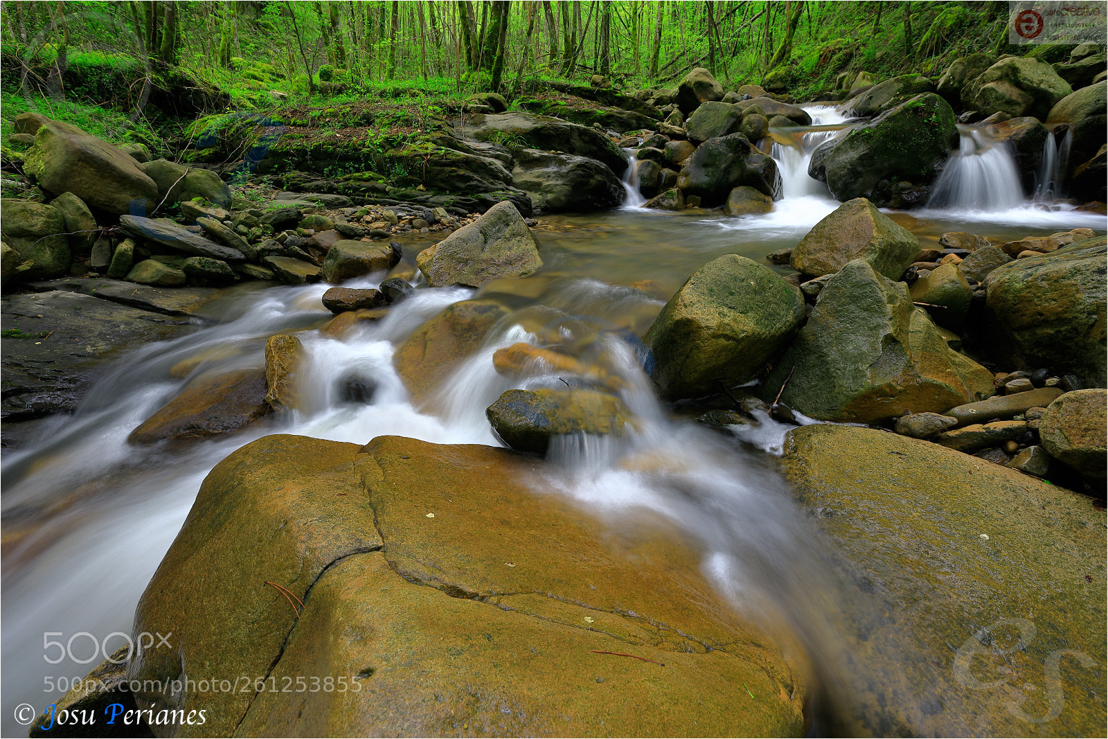 Canon EOS 5D Mark IV sample photo. Retorno al para so photography