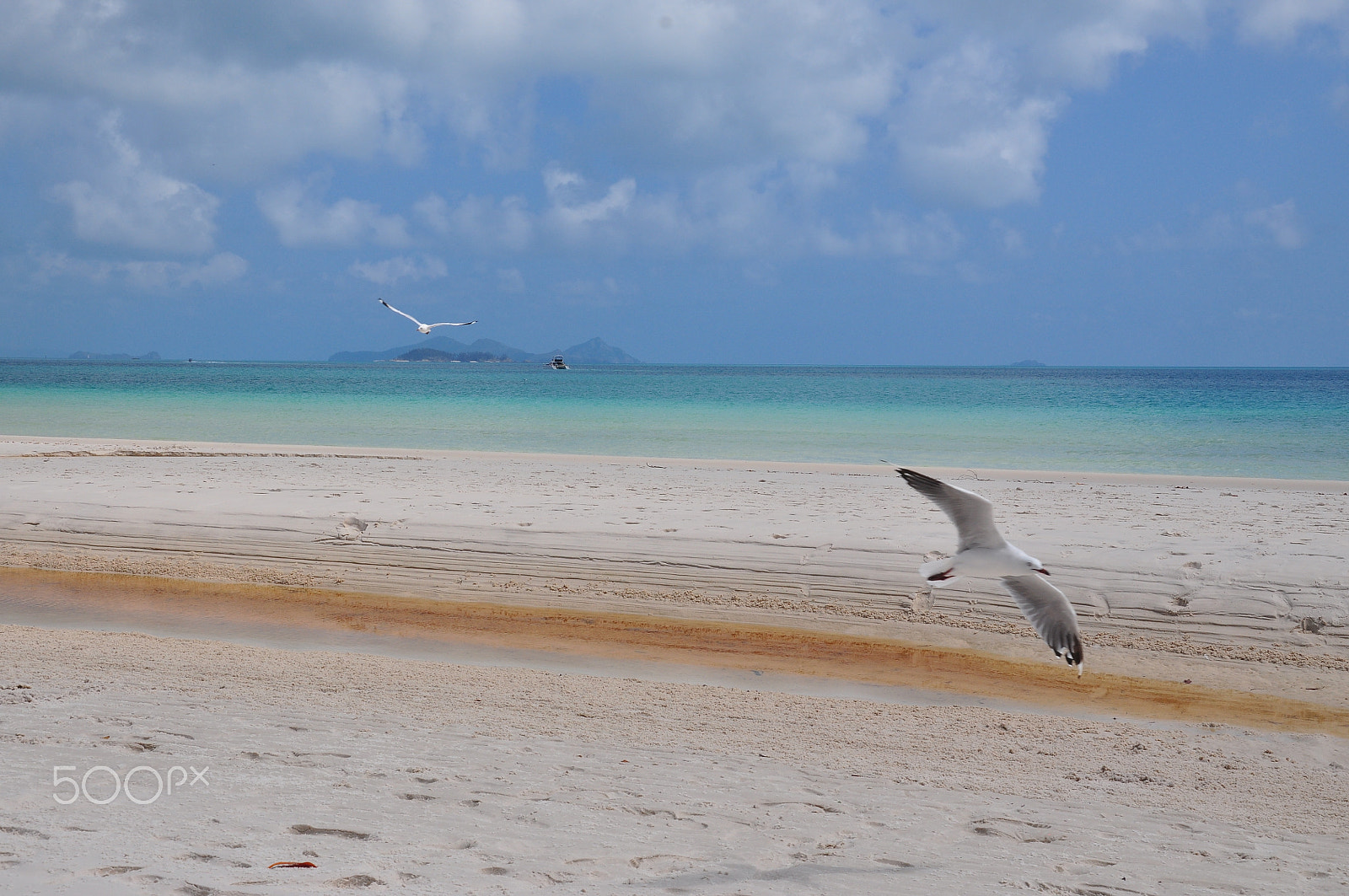 Nikon D5000 sample photo. Whitsundays island photography