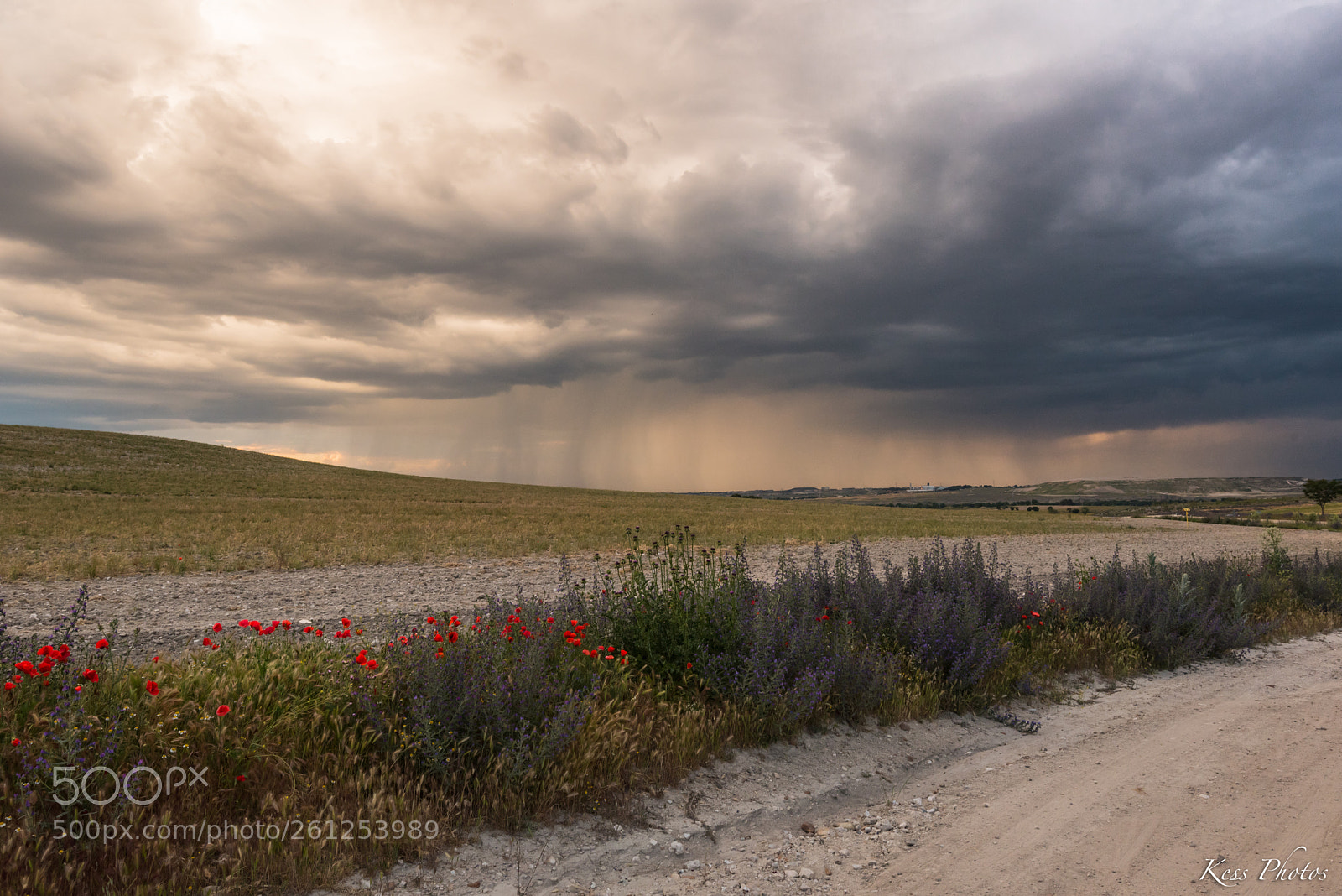 Nikon D750 sample photo. Tormenta de verano photography