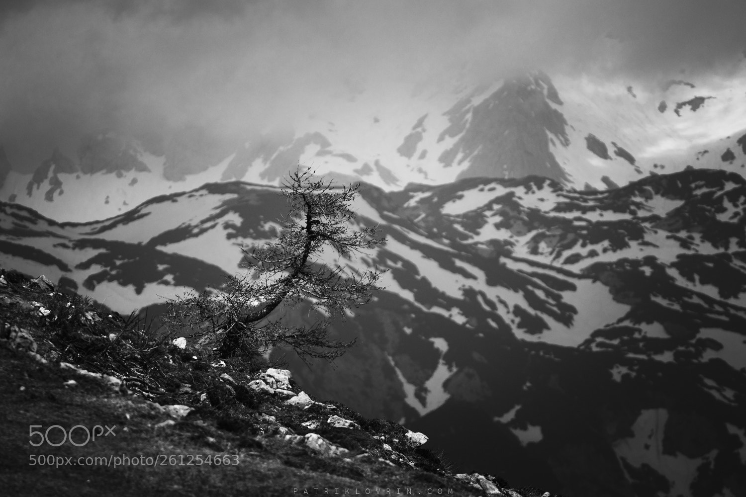 Canon EOS 80D sample photo. Lonely tree with stunning photography