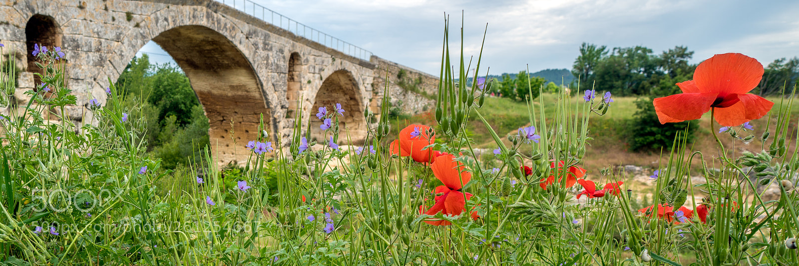 Sony a6300 sample photo. Pont julien avec le photography