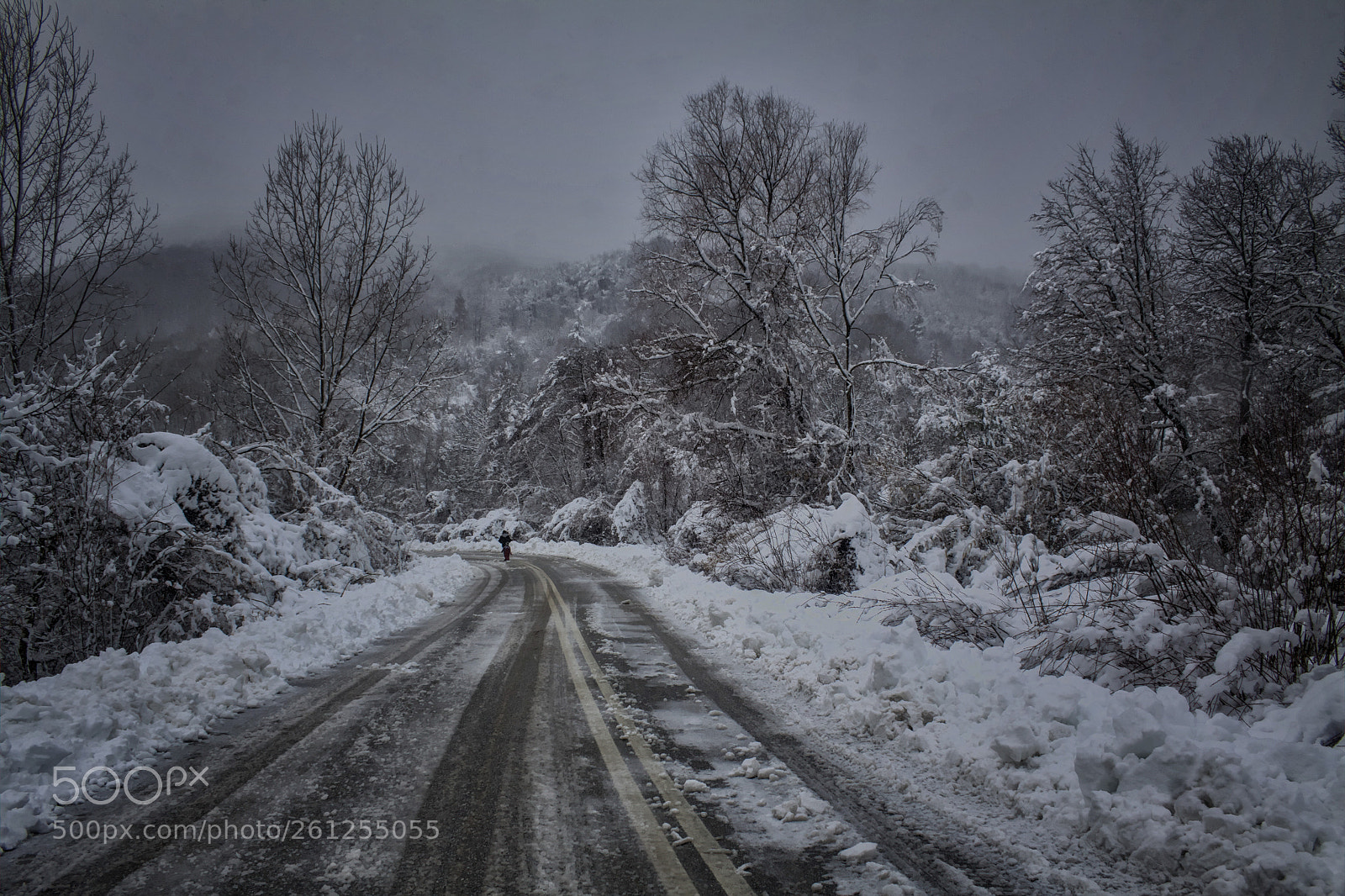 Canon EOS 50D sample photo. Walking on a snowy photography