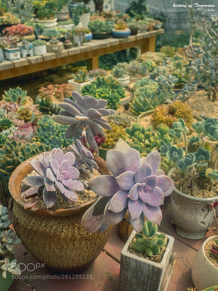 Olympus OM-D E-M5 II sample photo. Untitled photography