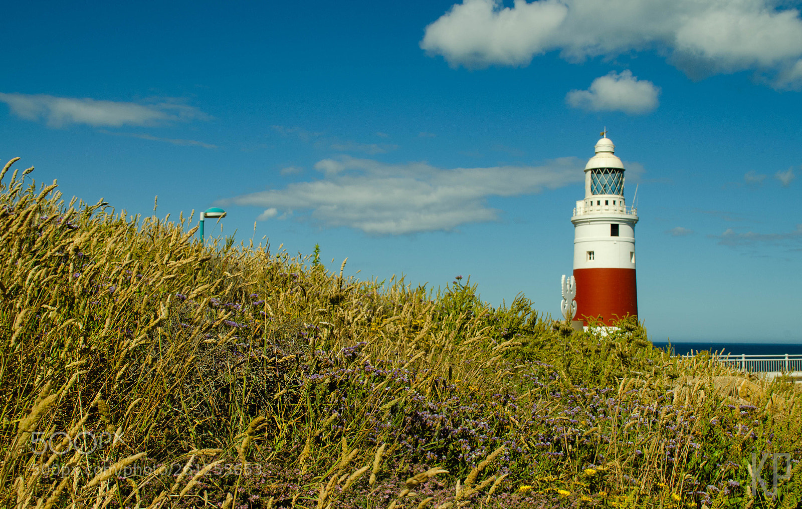 Nikon D5100 sample photo. Idyllic photography