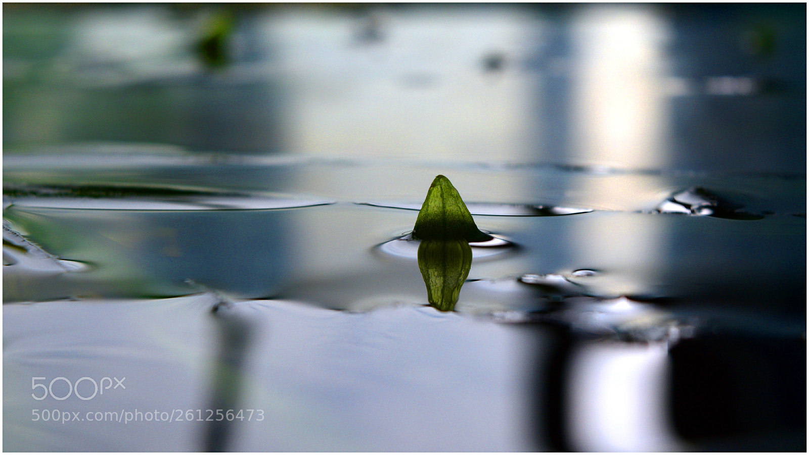 Nikon D5300 sample photo. "buenas ;-)" photography