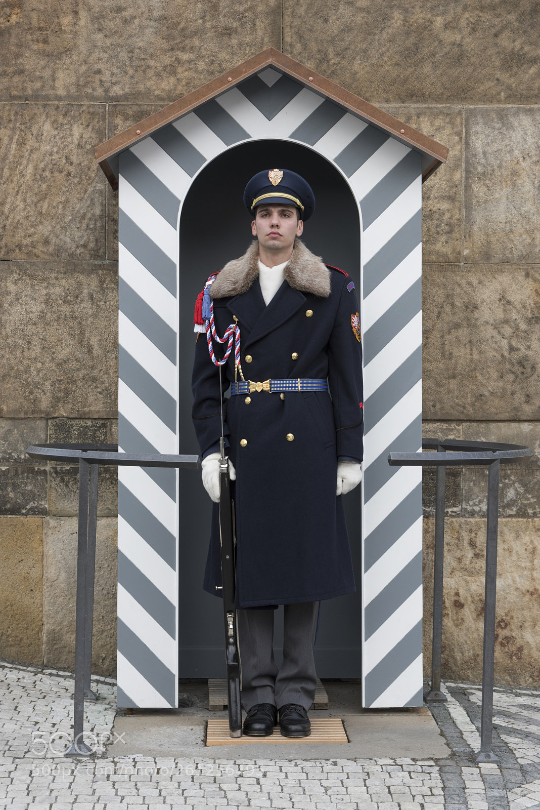 Nikon D810 sample photo. Castle guard on duty photography