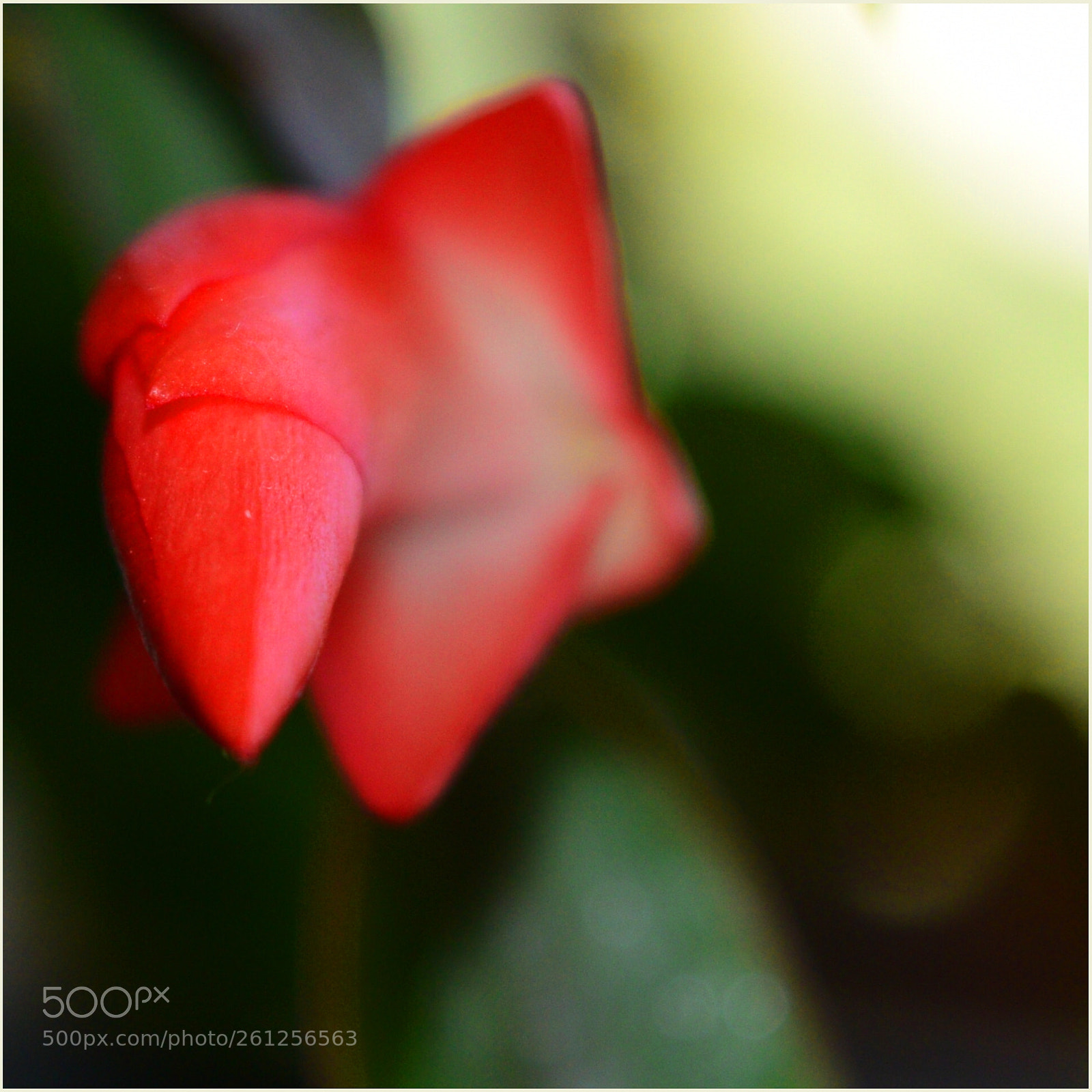 Nikon D5300 sample photo. Untitled photography