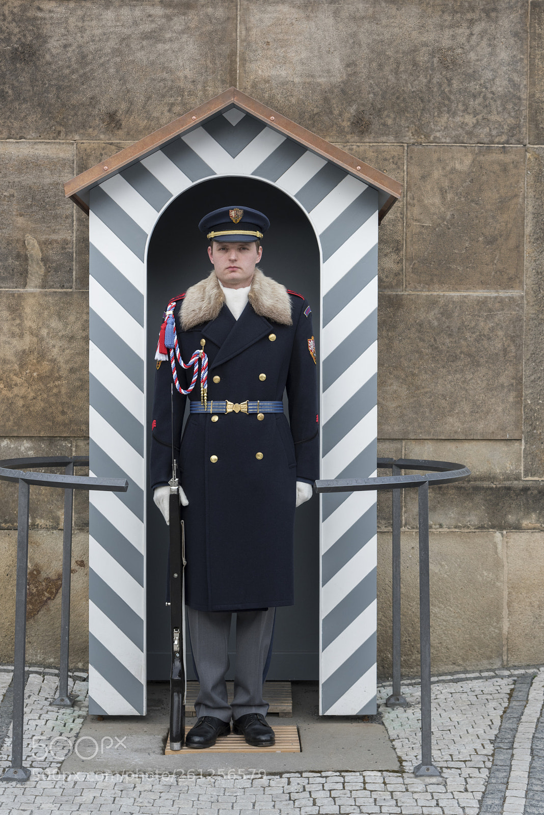 Nikon D810 sample photo. Castle guard on duty photography