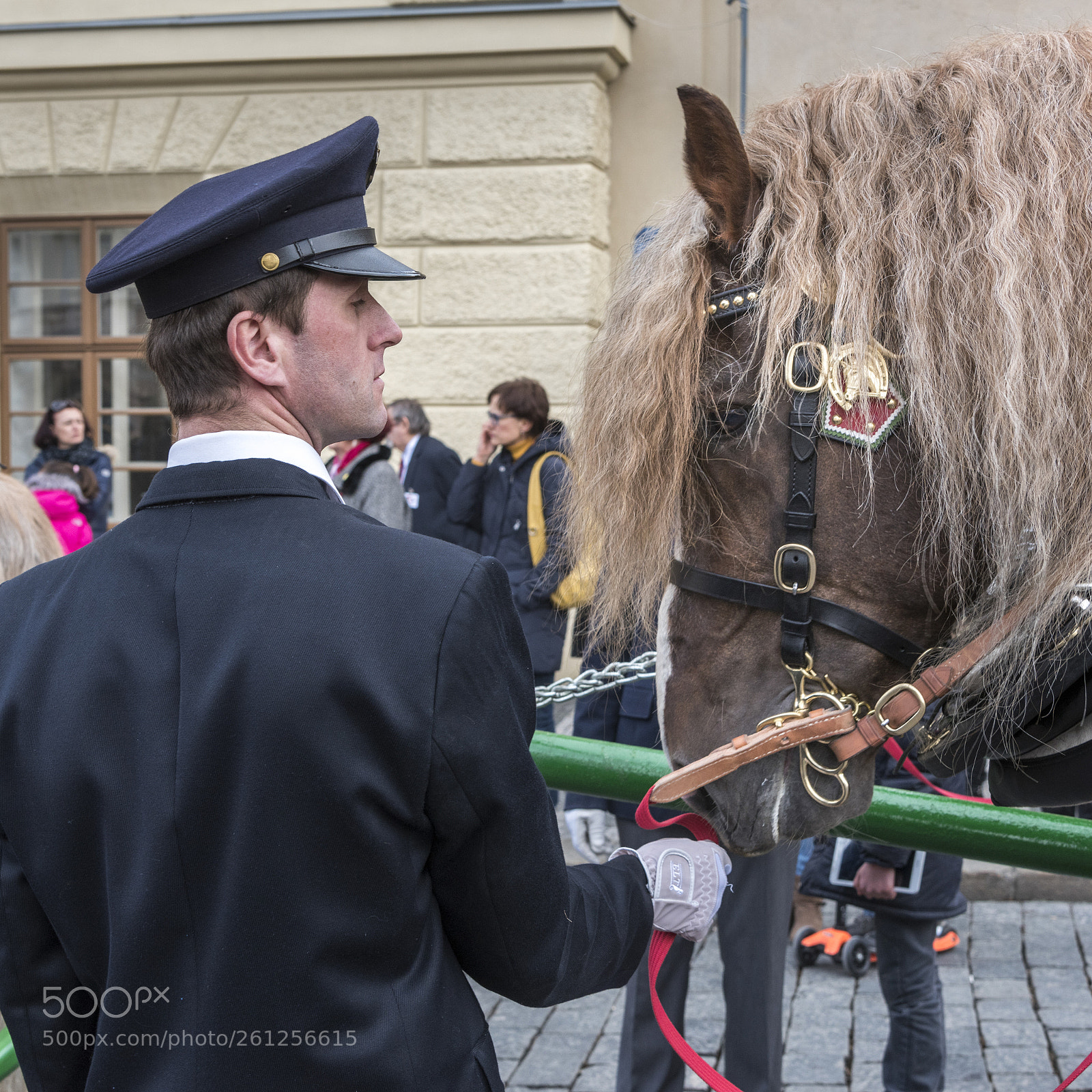 Nikon D810 sample photo. Man holding the reins photography