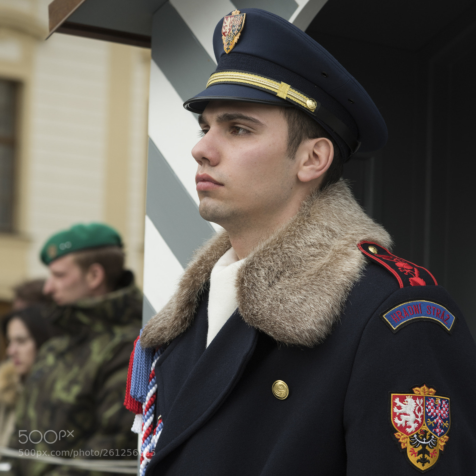 Nikon D810 sample photo. Castle guard on duty photography