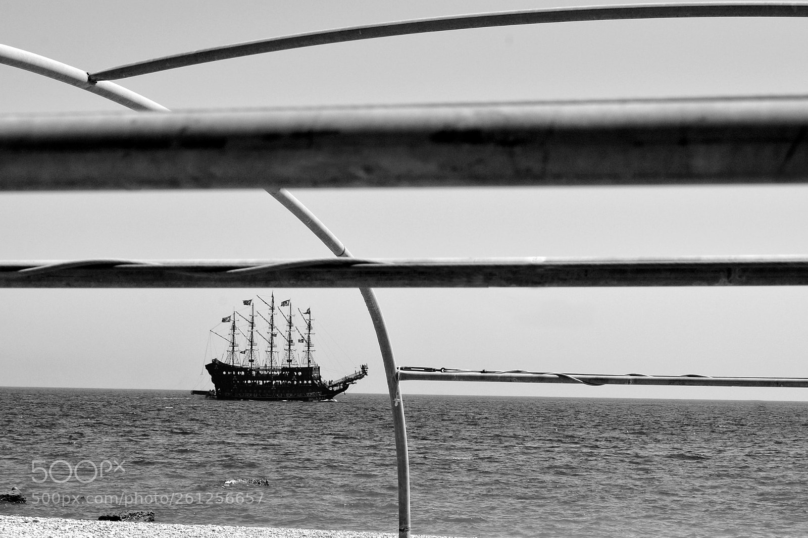 Nikon D7100 sample photo. Untitled photography