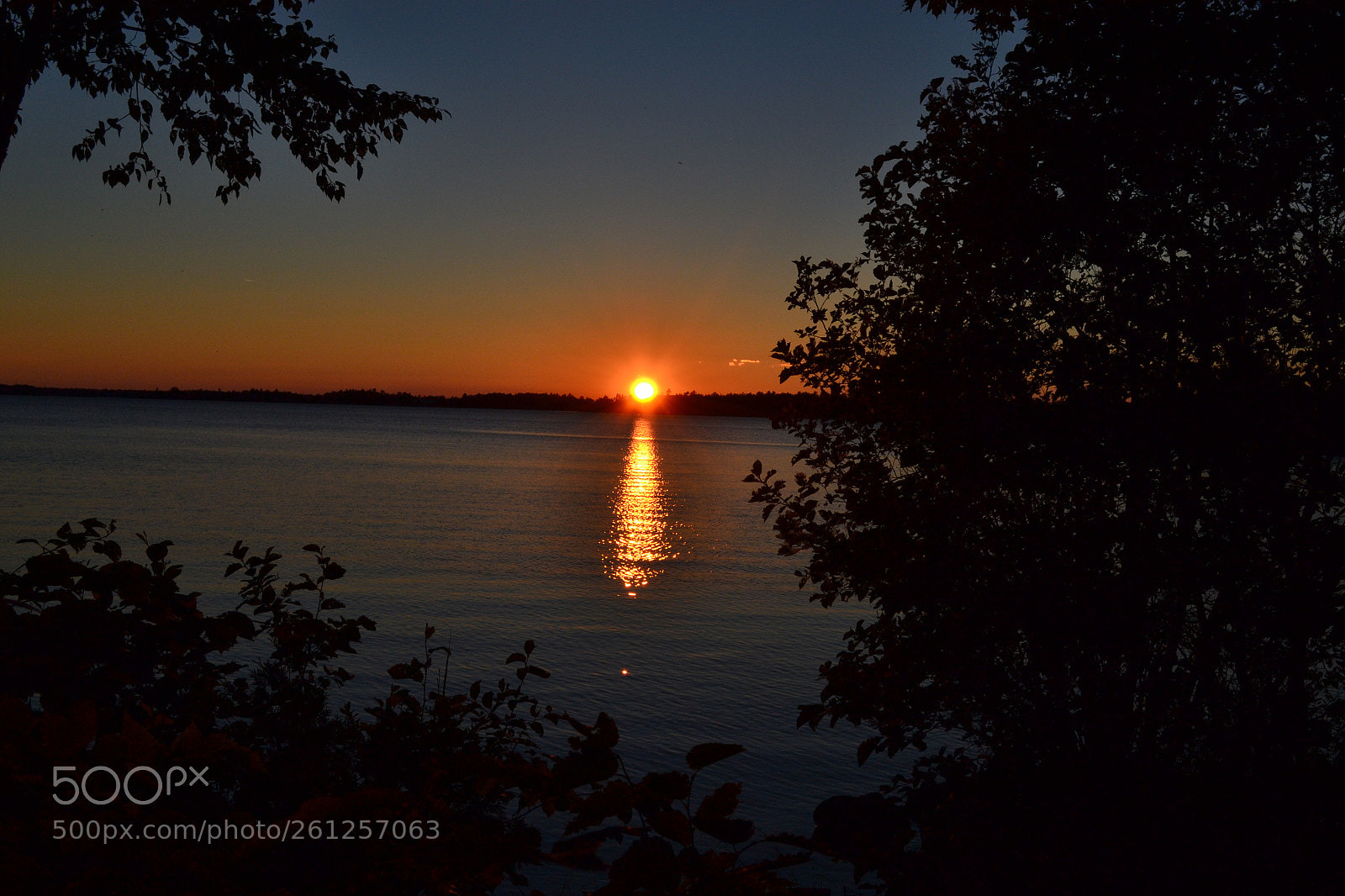 Nikon D3100 sample photo. Untitled photography