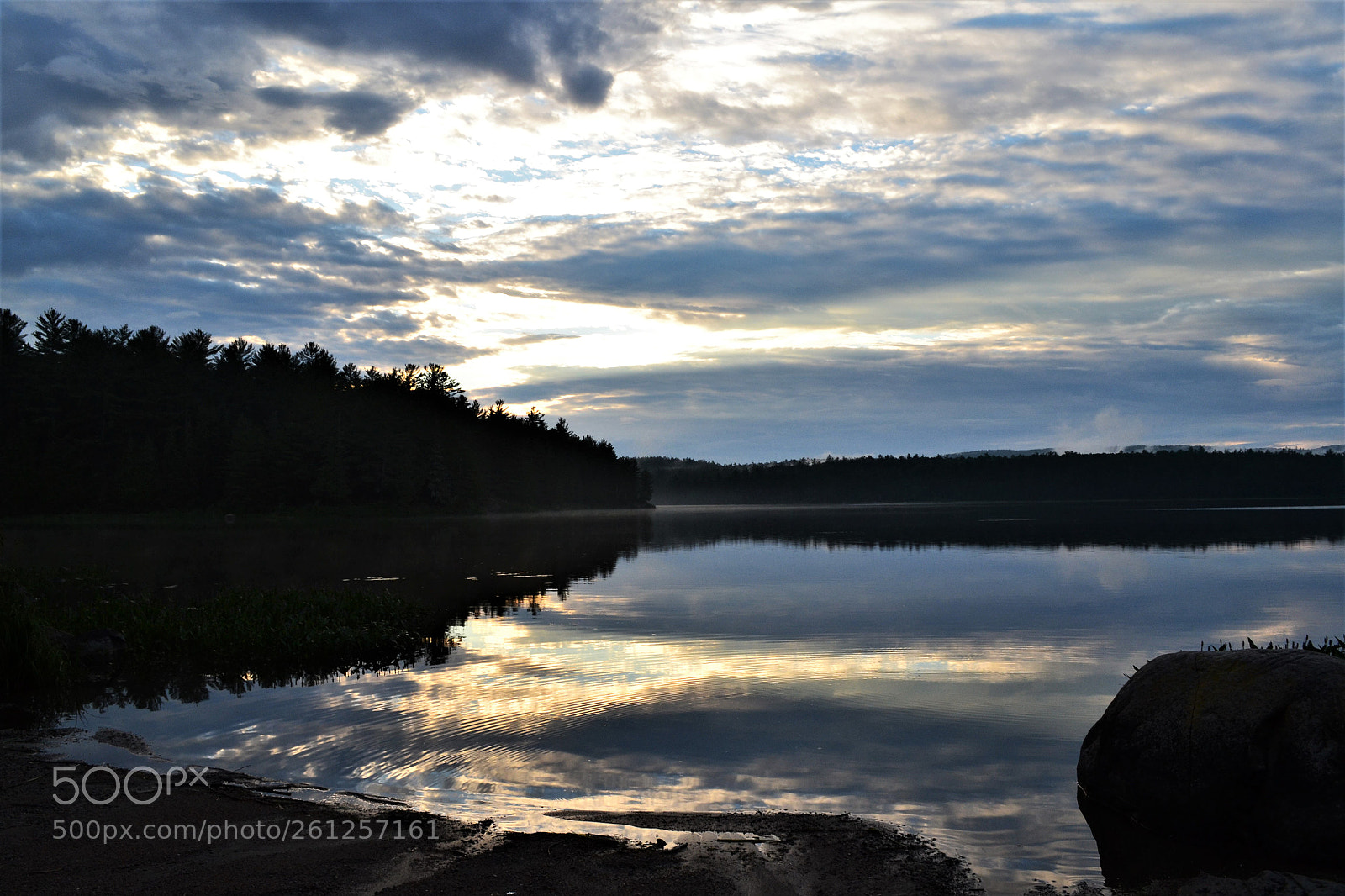 Nikon D3100 sample photo. Untitled photography
