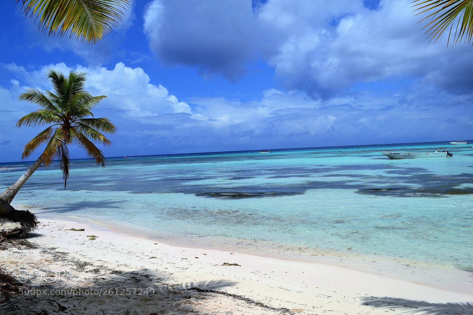 Nikon D3100 sample photo. Happy place photography