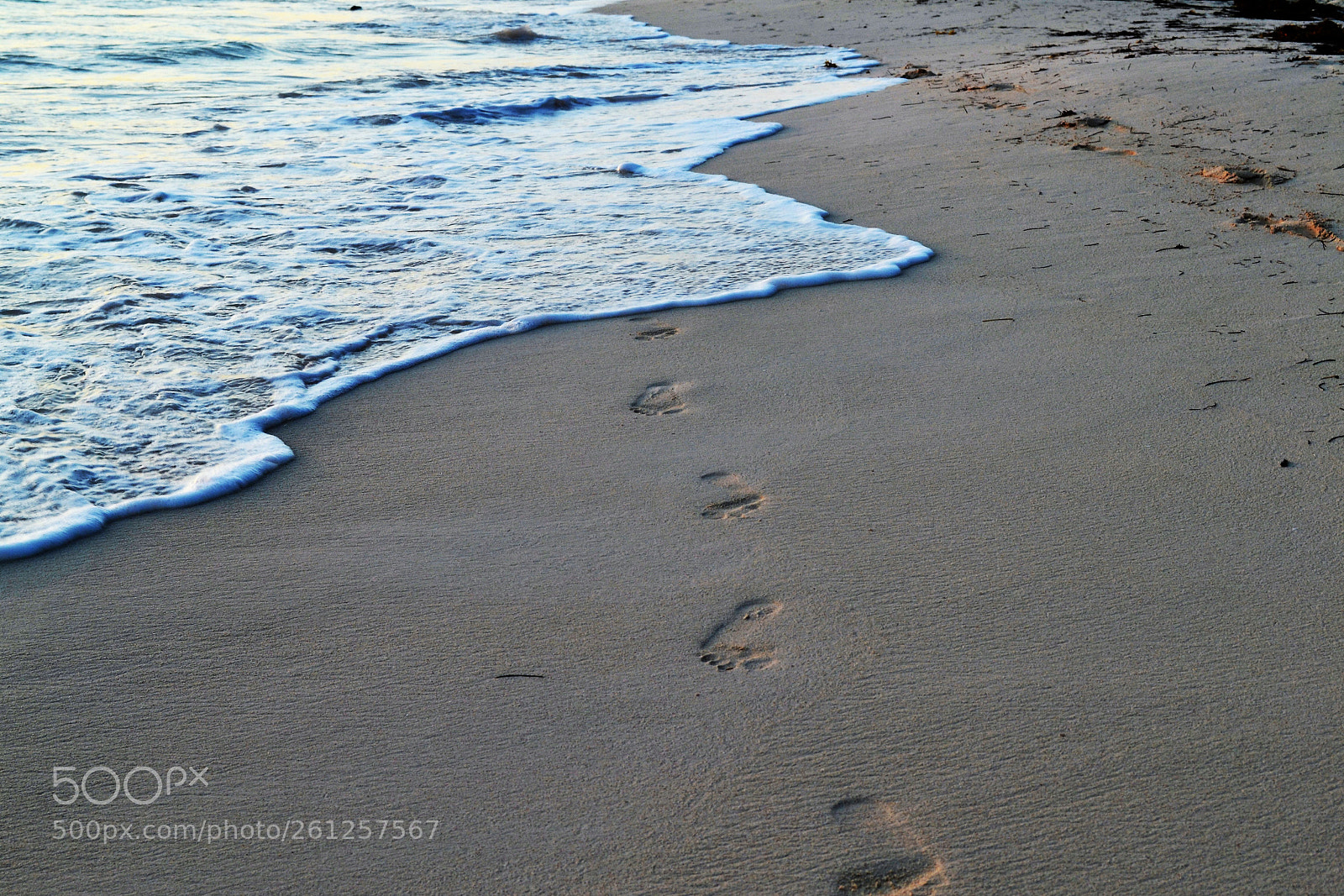 Nikon D3100 sample photo. Beach prints photography
