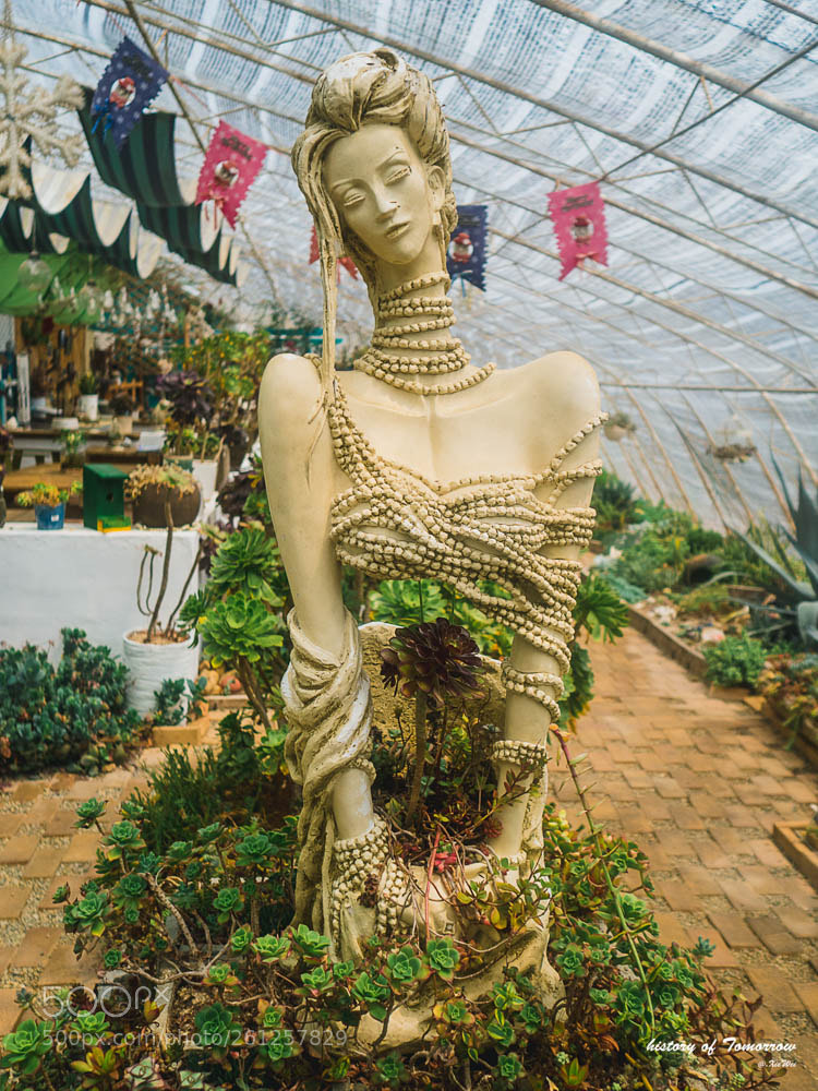 Olympus OM-D E-M5 II sample photo. Untitled photography