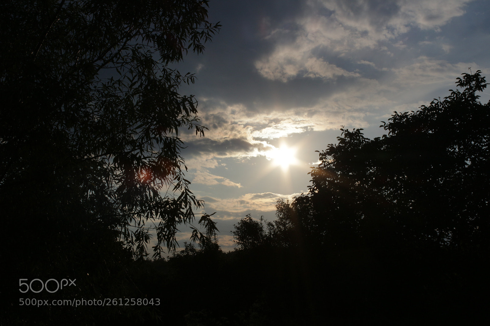 Canon EOS 100D (EOS Rebel SL1 / EOS Kiss X7) sample photo. Sunbeam photography