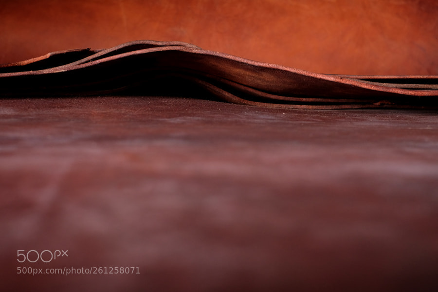 Fujifilm X-T1 sample photo. Leather #2 photography