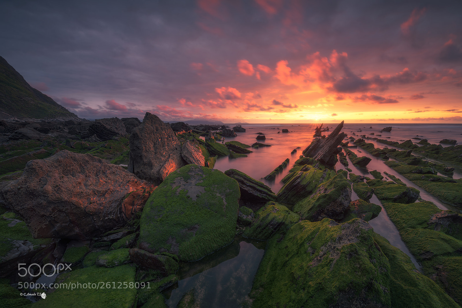 Nikon D850 sample photo. Primavera en barrika  photography