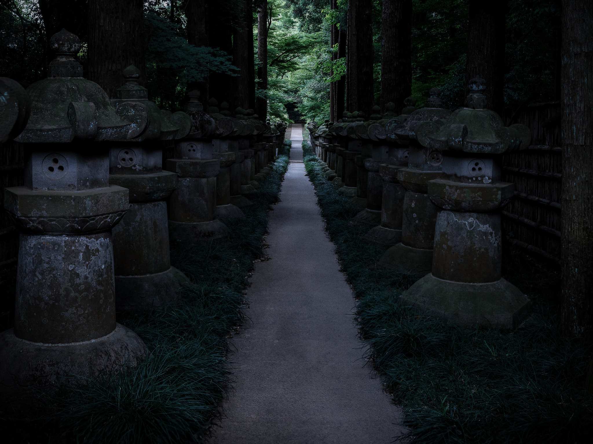 Fujifilm GFX 50S sample photo. Emperor's road photography