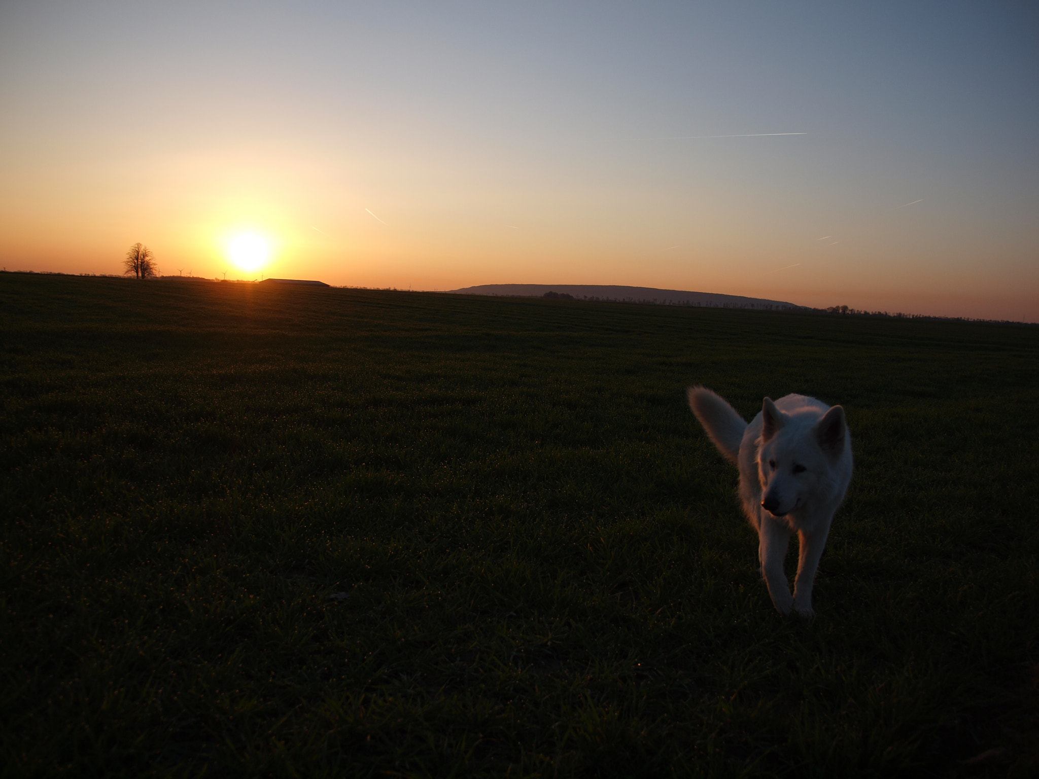 Olympus E-620 (EVOLT E-620) sample photo. Sonnenaufgang mit filou photography