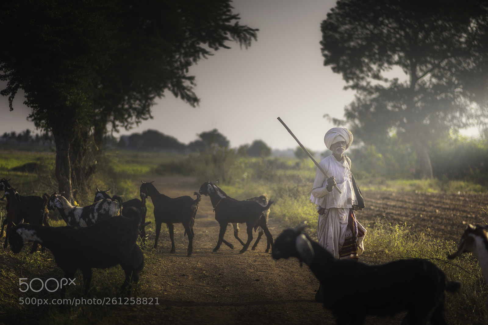 Nikon D810 sample photo. Lets go home dsc5224.jpg photography