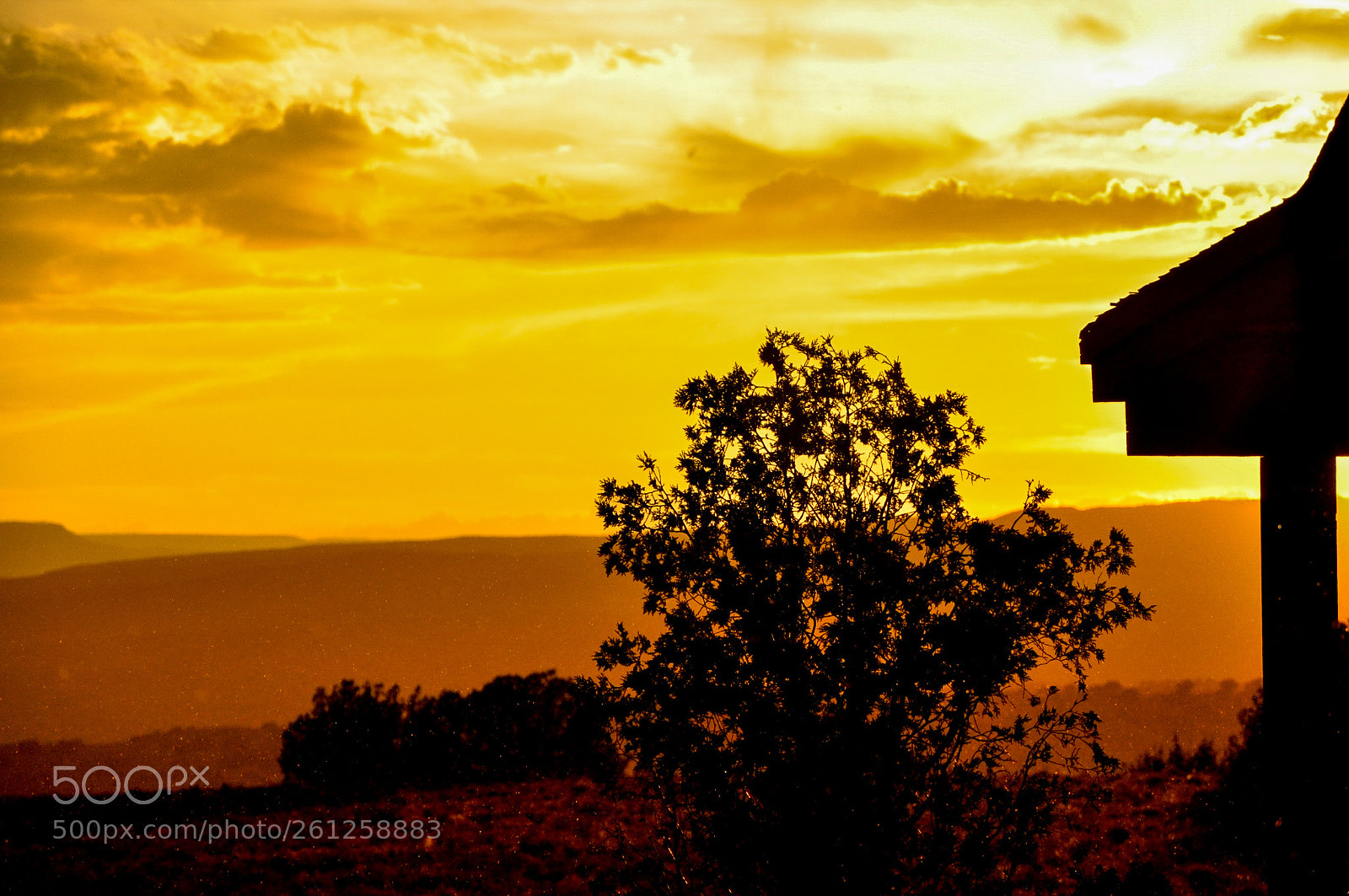 Nikon D90 sample photo. Untitled photography