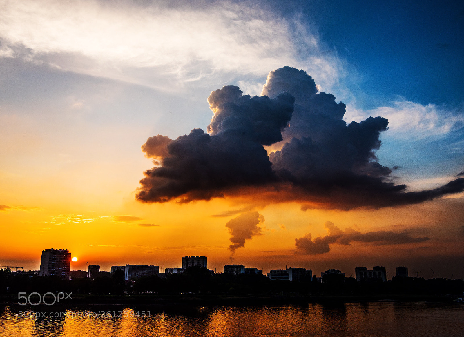 Nikon D810 sample photo. Untitled photography