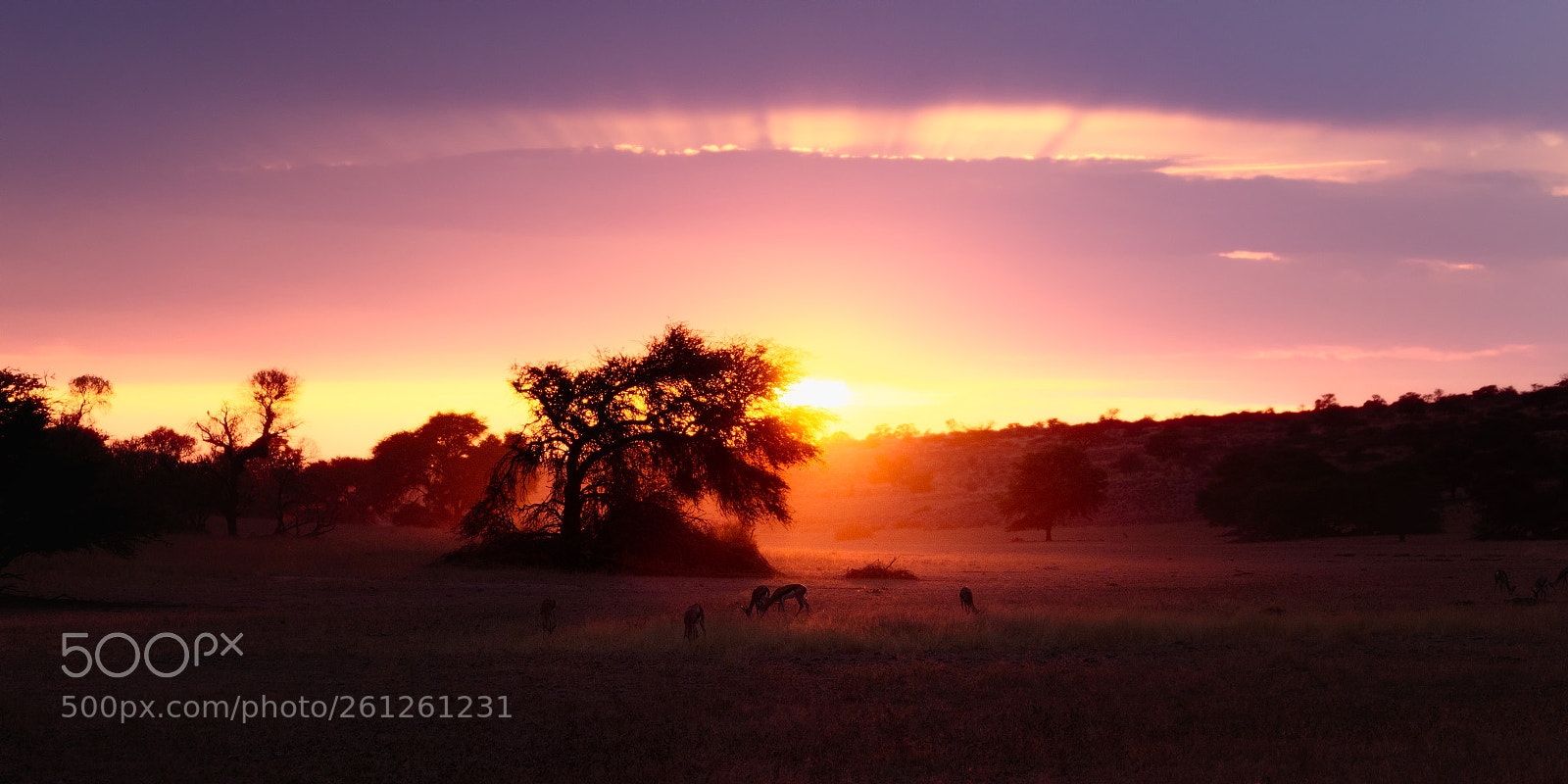 Canon EOS 6D sample photo. Kalahari thunderstorm photography