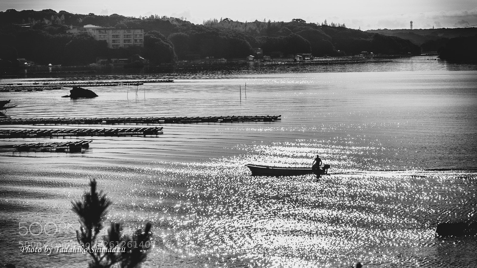 Fujifilm X-T2 sample photo. Sparking ago bay(煌めく英虞湾） photography