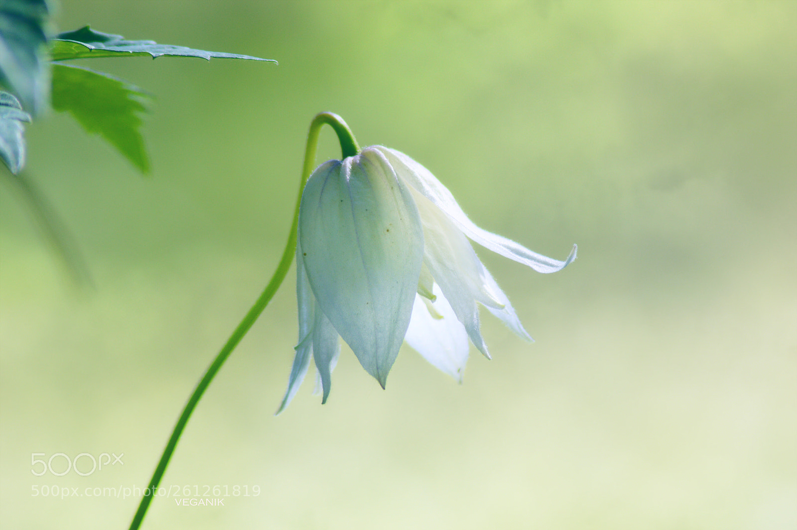 Nikon D3200 sample photo. ... photography