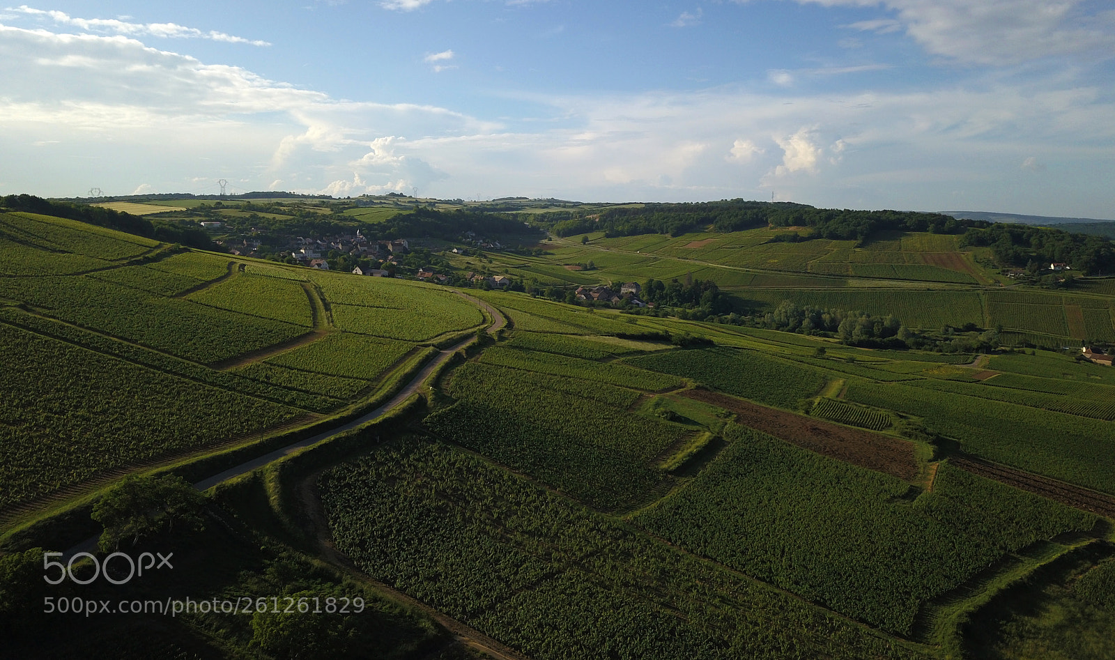DJI FC220 sample photo. Montagny vineyard in burgundy photography